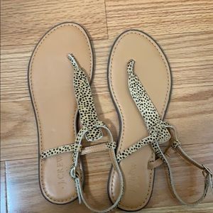 J Crew sandals